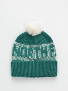 Шапка Retro Cabin TNF, цвет Evergreen White Dune