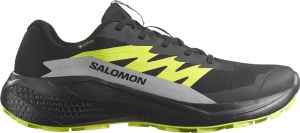 Кроссовки Alphaglide GTX Salomon, цвет Black Alloy