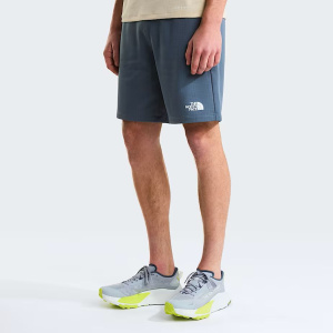 Шорты M Reaxion 2.0 TNF, цвет Granite Grey Dark Heath