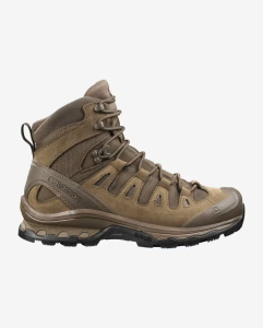 Ботинки Quest 4D Forces 2 EN Salomon, цвет Earth Brown