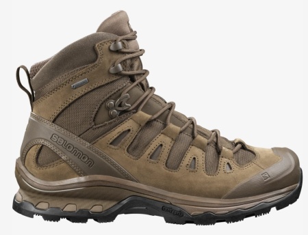 Ботинки Quest 4D GTX Forces 2 EN Salomon, цвет Earth Brown