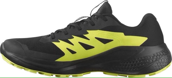 Кроссовки Alphaglide GTX Salomon, цвет Black Alloy 3