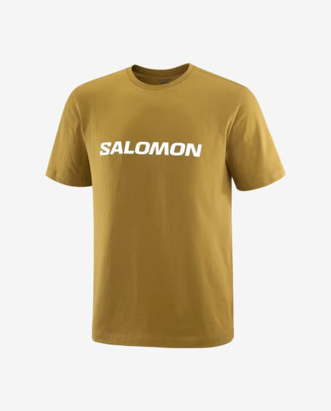 Футболка M Logo Salomon, цвет Brilliant Olive 3