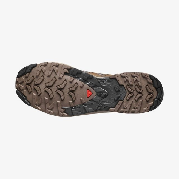 Кроссовки M XA PRO 3D V9 Salomon, цвет Falcon Desert Tan Black 6