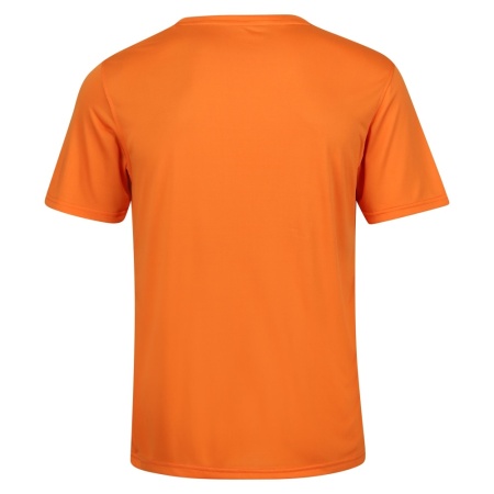 Футболка Fingal V-Neck Regatta, цвет Persimmon 6