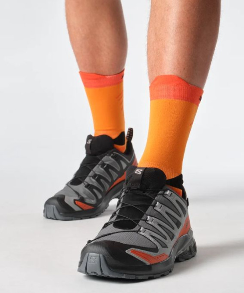 Кроссовки XA PRO 3D V9 GTX Salomon, цвет TurbulenceBlack 4