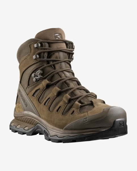 Ботинки Quest 4D Forces 2 EN Salomon, цвет Earth Brown 4