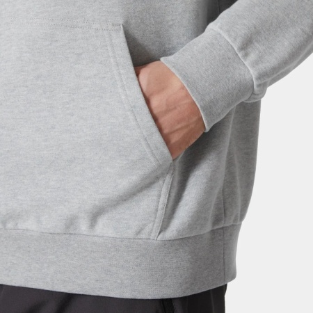 Толстовка LOGO HOODIE 2.0 HH, цвет Grey Melange 4