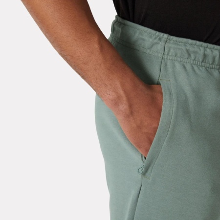 Брюки HP TECH HH, цвет Grey Cactus 4