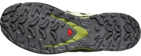 Кроссовки XA PRO 3D V9 GTX Salomon, цвет Black Lime Cream 2