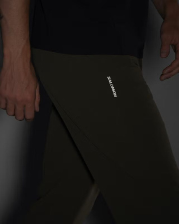 Брюки M Wayfarer Everyday Salomon, цвет Grape Leaf 4