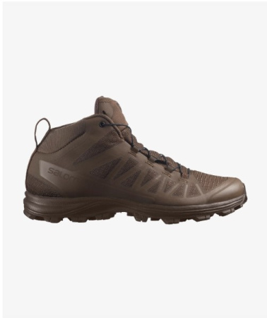 Ботинки Speed Assault 2 Salomon, цвет Earth Brown