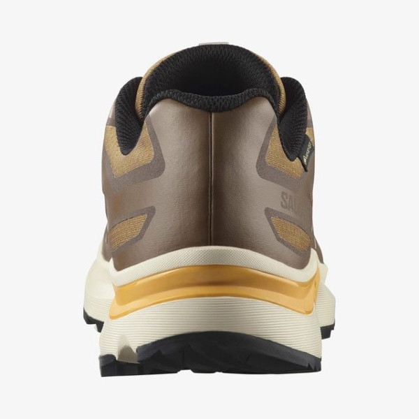 Кроссовки M XT-EVR GTX Salomon, цвет Kelp Vanilla Ice Warm Apr 5