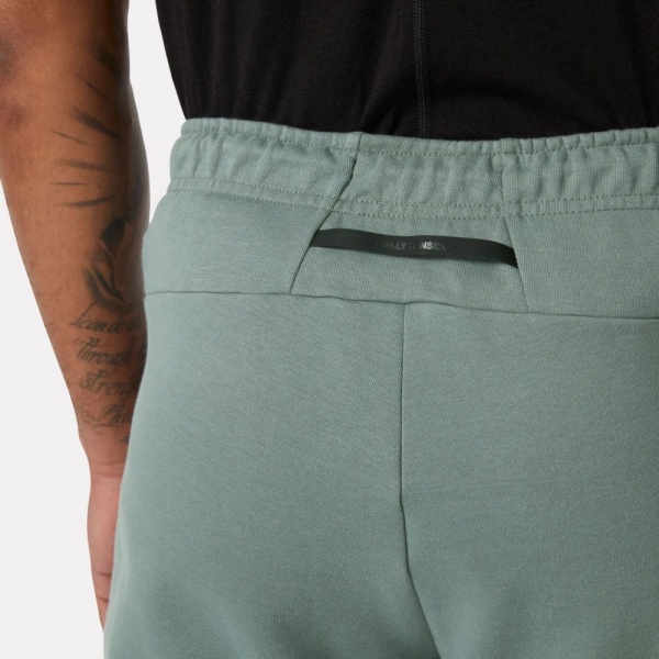 Брюки HP TECH HH, цвет Grey Cactus 3