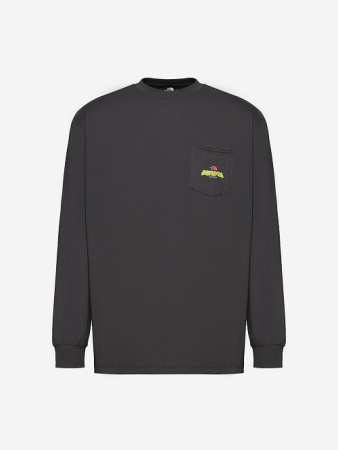 Лонгслив U Expedition Celebration TNF, цвет Ant Grey