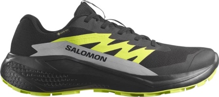 Кроссовки Alphaglide GTX Salomon, цвет Black Alloy
