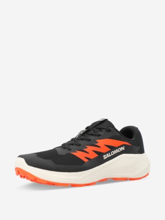 Кроссовки Alphaglide Salomon, цвет Black Rainy Day 2