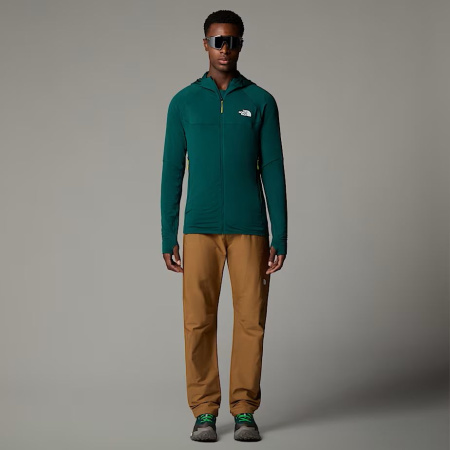 Брюки M Limestone TNF, цвет Brown 4
