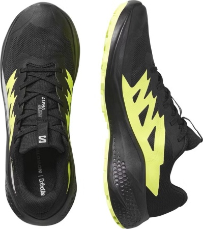 Кроссовки Alphaglide GTX Salomon, цвет Black Alloy 2