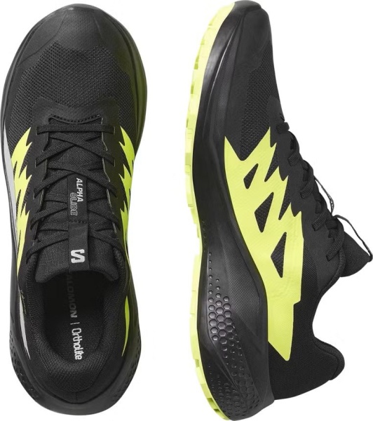 Кроссовки Alphaglide GTX Salomon, цвет Black Alloy 2