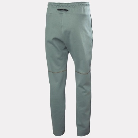 Брюки HP TECH HH, цвет Grey Cactus 7