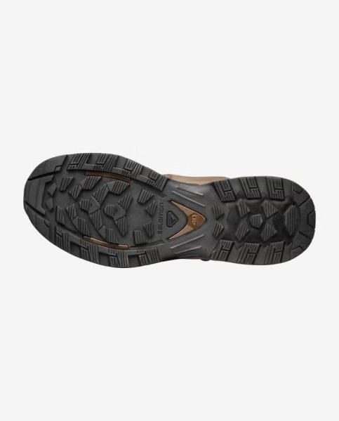 Ботинки Quest 4D Forces 2 EN Salomon, цвет Earth Brown 6