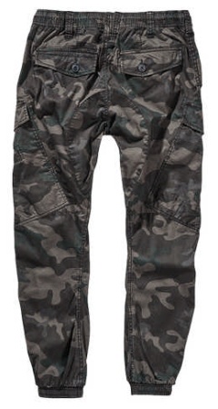 Брюки Ray Vintage Brandit, цвет Darkcamo 2