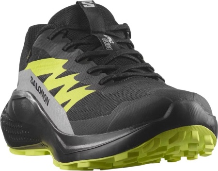 Кроссовки Alphaglide GTX Salomon, цвет Black Alloy 5