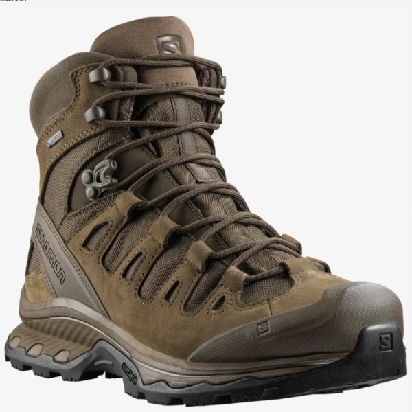 Ботинки Quest 4D GTX Forces 2 EN Salomon, цвет Earth Brown  2