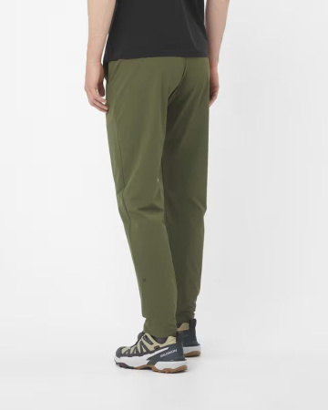 Брюки M Wayfarer Everyday Salomon, цвет Grape Leaf 2