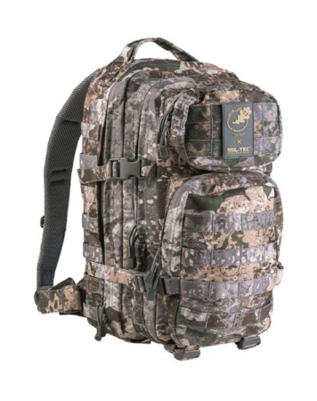 Рюкзак US Assault Mil-Tec, цвет Pack SM Wasp I Z1B (20л.)