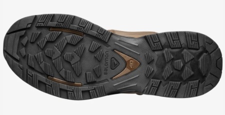 Ботинки Quest 4D GTX Forces 2 EN Salomon, цвет Earth Brown  4