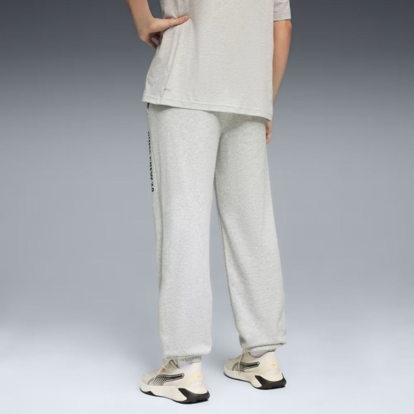 Брюки M Graphic French Terry Puma, цвет Light Gray 2