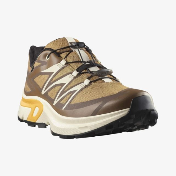 Кроссовки M XT-EVR GTX Salomon, цвет Kelp Vanilla Ice Warm Apr 4