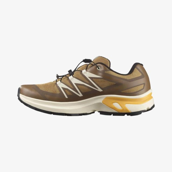 Кроссовки M XT-EVR GTX Salomon, цвет Kelp Vanilla Ice Warm Apr 3